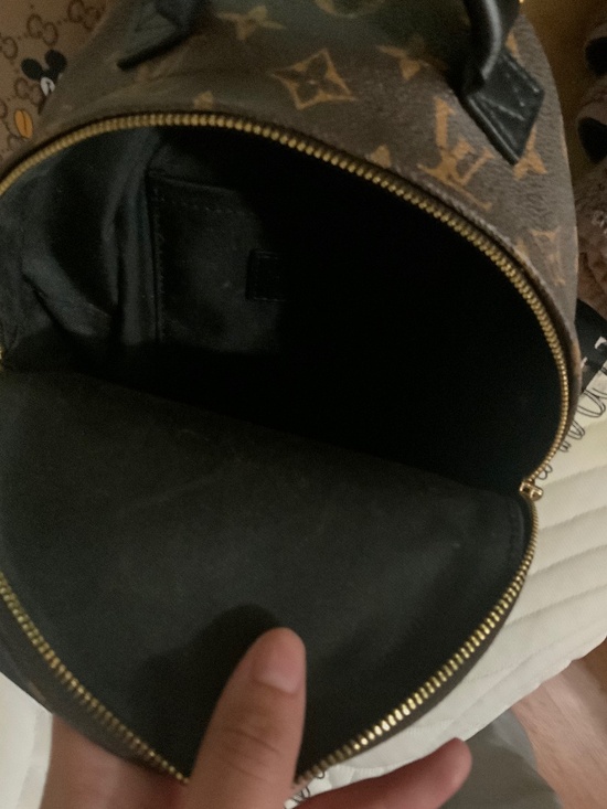 Louis Vuitton Palm Springs Mini Backpack